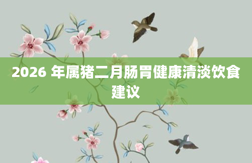 2026 年属猪二月肠胃健康清淡饮食建议