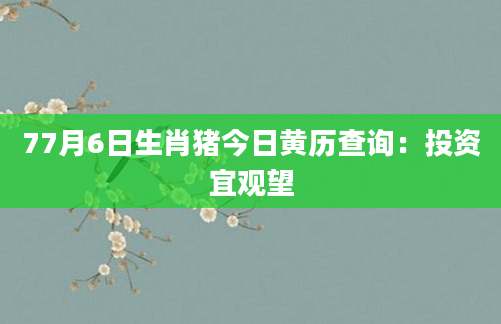 77月6日生肖猪今日黄历查询：投资宜观望