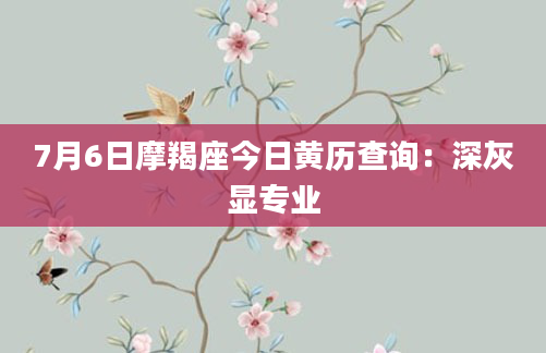 7月6日摩羯座今日黄历查询：深灰显专业