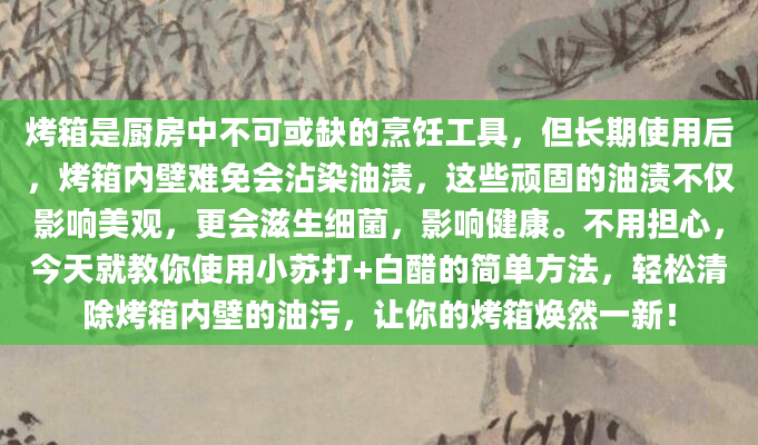 烤箱是厨房中不可或缺的烹饪工具，但长期使用后，烤箱内壁难免会沾染油渍，这些顽固的油渍不仅影响美观，更会滋生细菌，影响健康。不用担心，今天就教你使用小苏打+白醋的简单方法，轻松清除烤箱内壁的油污，让你的烤箱焕然一新！