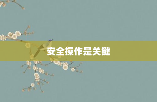 安全操作是关键