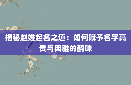 揭秘赵姓起名之道：如何赋予名字高贵与典雅的韵味