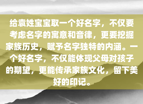 给袁姓宝宝取一个好名字，不仅要考虑名字的寓意和音律，更要挖掘家族历史，赋予名字独特的内涵。一个好名字，不仅能体现父母对孩子的期望，更能传承家族文化，留下美好的印记。