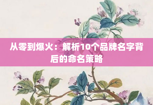 从零到爆火：解析10个品牌名字背后的命名策略