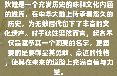 狄姓是一个充满历史韵味和文化内涵的姓氏，在中华大地上传承着悠久的历史，为无数后代留下了丰富的文化遗产。对于狄姓男孩而言，起名不仅是赋予其一个响亮的名字，更重要的是要彰显其勇敢、豪迈的性格，使其在未来的道路上充满自信与力量。