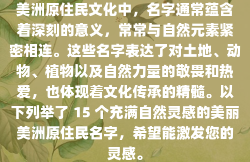 美洲原住民文化中，名字通常蕴含着深刻的意义，常常与自然元素紧密相连。这些名字表达了对土地、动物、植物以及自然力量的敬畏和热爱，也体现着文化传承的精髓。以下列举了 15 个充满自然灵感的美丽美洲原住民名字，希望能激发您的灵感。