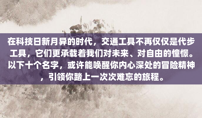 在科技日新月异的时代，交通工具不再仅仅是代步工具，它们更承载着我们对未来、对自由的憧憬。以下十个名字，或许能唤醒你内心深处的冒险精神，引领你踏上一次次难忘的旅程。