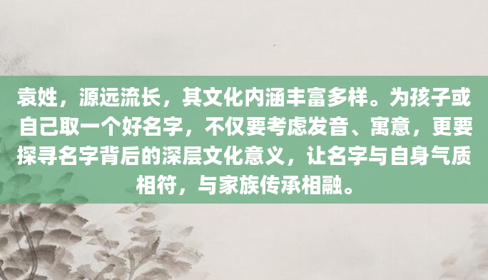 袁姓，源远流长，其文化内涵丰富多样。为孩子或自己取一个好名字，不仅要考虑发音、寓意，更要探寻名字背后的深层文化意义，让名字与自身气质相符，与家族传承相融。