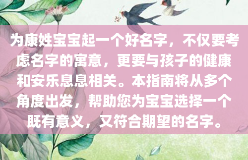 为康姓宝宝起一个好名字，不仅要考虑名字的寓意，更要与孩子的健康和安乐息息相关。本指南将从多个角度出发，帮助您为宝宝选择一个既有意义，又符合期望的名字。