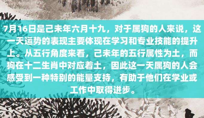 7月16日是己未年六月十九，对于属狗的人来说，这一天运势的表现主要体现在学习和专业技能的提升上。从五行角度来看，己未年的五行属性为土，而狗在十二生肖中对应着土，因此这一天属狗的人会感受到一种特别的能量支持，有助于他们在学业或工作中取得进步。