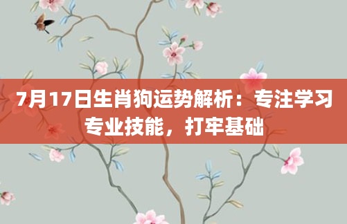 7月17日生肖狗运势解析：专注学习专业技能，打牢基础