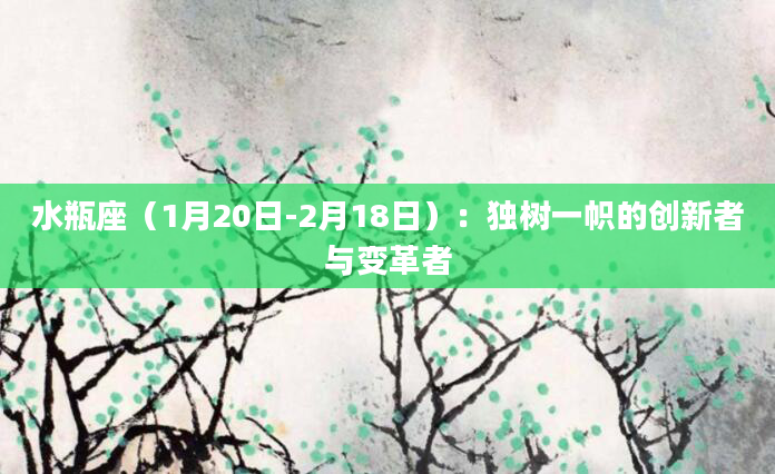 水瓶座（1月20日-2月18日）：独树一帜的创新者与变革者