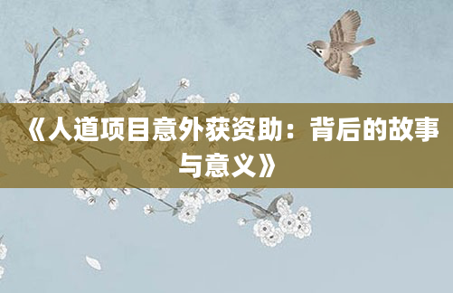 《人道项目意外获资助：背后的故事与意义》