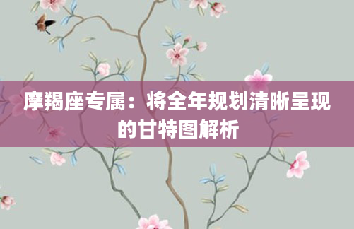 摩羯座专属：将全年规划清晰呈现的甘特图解析