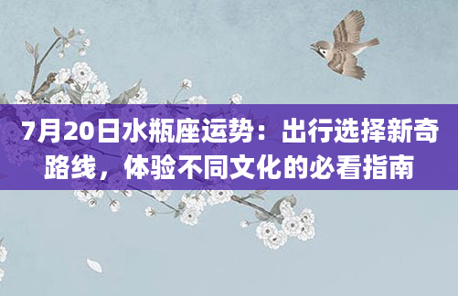7月20日水瓶座运势：出行选择新奇路线，体验不同文化的必看指南