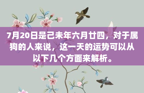 7月20日是己未年六月廿四，对于属狗的人来说，这一天的运势可以从以下几个方面来解析。