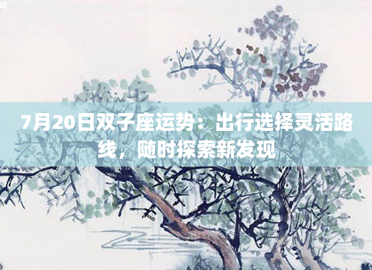 7月20日双子座运势：出行选择灵活路线，随时探索新发现