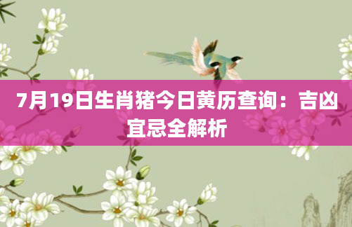 7月19日生肖猪今日黄历查询：吉凶宜忌全解析