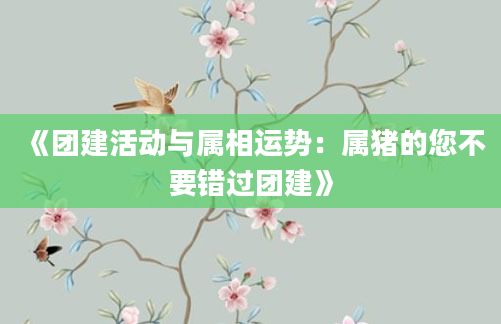 《团建活动与属相运势：属猪的您不要错过团建》