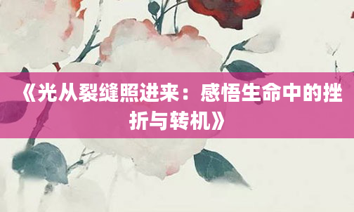 《光从裂缝照进来：感悟生命中的挫折与转机》