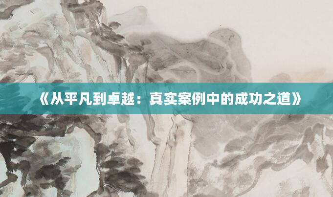 《从平凡到卓越：真实案例中的成功之道》