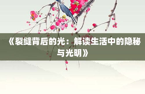 《裂缝背后的光：解读生活中的隐秘与光明》