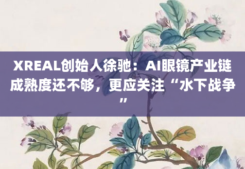 XREAL创始人徐驰：AI眼镜产业链成熟度还不够，更应关注“水下战争”