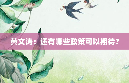 黄文涛：还有哪些政策可以期待？