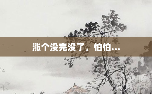 涨个没完没了，怕怕…