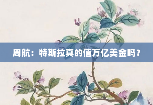 周航：特斯拉真的值万亿美金吗？