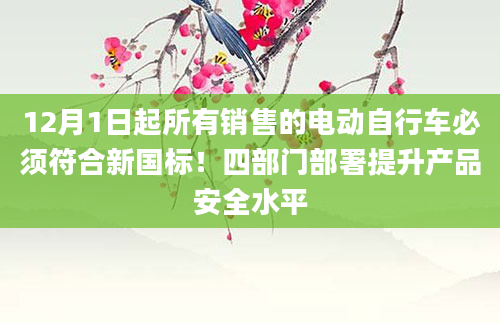 12月1日起所有销售的电动自行车必须符合新国标！四部门部署提升产品安全水平