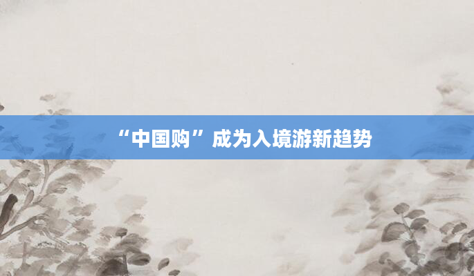 “中国购”成为入境游新趋势