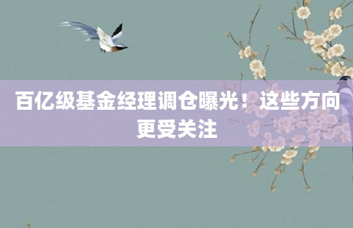 百亿级基金经理调仓曝光！这些方向更受关注