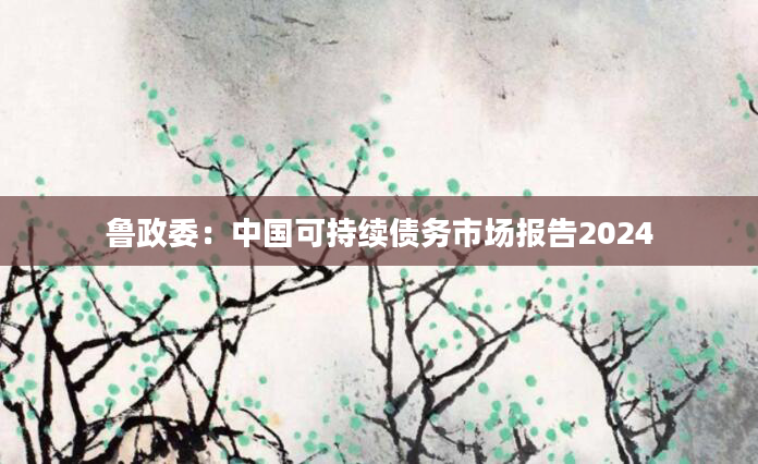 鲁政委：中国可持续债务市场报告2024