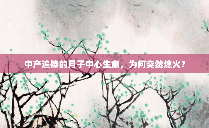 中产追捧的月子中心生意，为何突然熄火？
