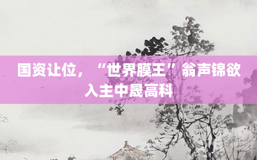 国资让位，“世界膜王”翁声锦欲入主中晟高科