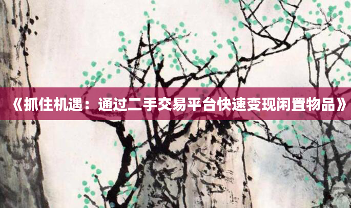 《抓住机遇：通过二手交易平台快速变现闲置物品》