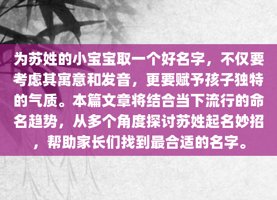 为苏姓的小宝宝取一个好名字，不仅要考虑其寓意和发音，更要赋予孩子独特的气质。本篇文章将结合当下流行的命名趋势，从多个角度探讨苏姓起名妙招，帮助家长们找到最合适的名字。