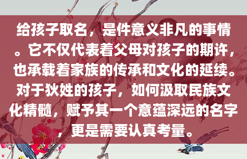 给孩子取名，是件意义非凡的事情。它不仅代表着父母对孩子的期许，也承载着家族的传承和文化的延续。对于狄姓的孩子，如何汲取民族文化精髓，赋予其一个意蕴深远的名字，更是需要认真考量。