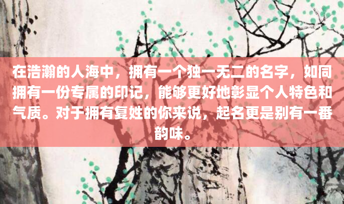 在浩瀚的人海中，拥有一个独一无二的名字，如同拥有一份专属的印记，能够更好地彰显个人特色和气质。对于拥有复姓的你来说，起名更是别有一番韵味。