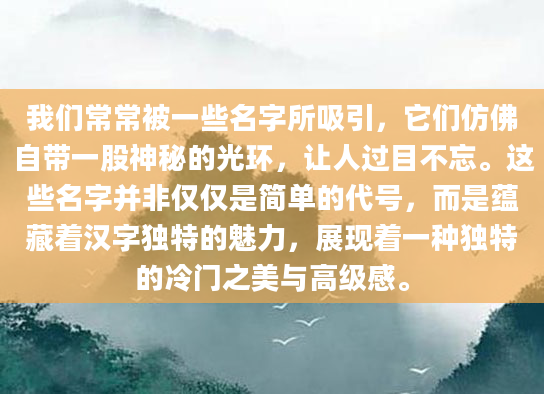 我们常常被一些名字所吸引，它们仿佛自带一股神秘的光环，让人过目不忘。这些名字并非仅仅是简单的代号，而是蕴藏着汉字独特的魅力，展现着一种独特的冷门之美与高级感。