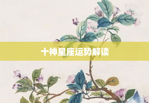 十神星座运势解读
