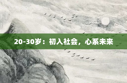 20-30岁：初入社会，心系未来