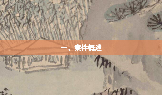 一、案件概述