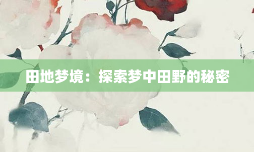 田地梦境：探索梦中田野的秘密