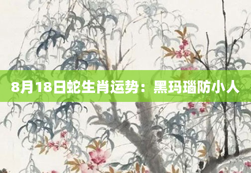 8月18日蛇生肖运势：黑玛瑙防小人