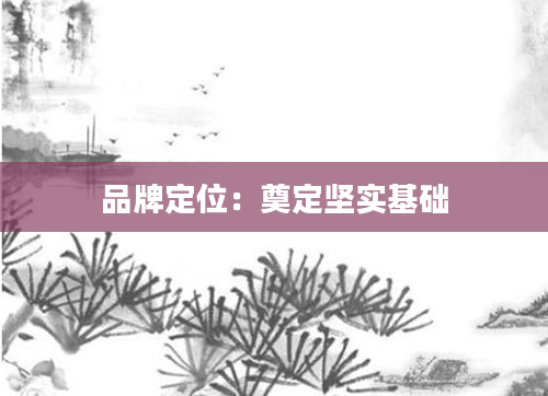 品牌定位：奠定坚实基础