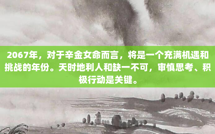 2067年，对于辛金女命而言，将是一个充满机遇和挑战的年份。天时地利人和缺一不可，审慎思考、积极行动是关键。