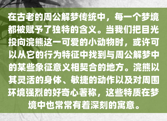 在古老的周公解梦传统中，每一个梦境都被赋予了独特的含义。当我们把目光投向浣熊这一可爱的小动物时，或许可以从它的行为特征中找到与周公解梦中的某些象征意义相契合的地方。浣熊以其灵活的身体、敏捷的动作以及对周围环境强烈的好奇心著称，这些特质在梦境中也常常有着深刻的寓意。