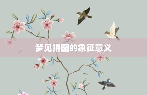 梦见拼图的象征意义